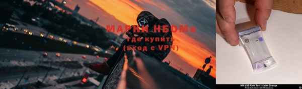 ECSTASY Армянск
