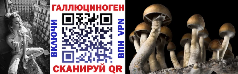 Галлюциногенные грибы Magic Shrooms  Малоархангельск 